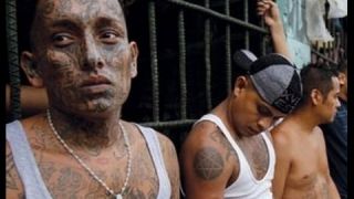 Gangland - To torture or to kill - Gangland Documentary