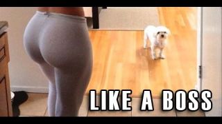 Ultimate Like a Boss Compilation 2016
